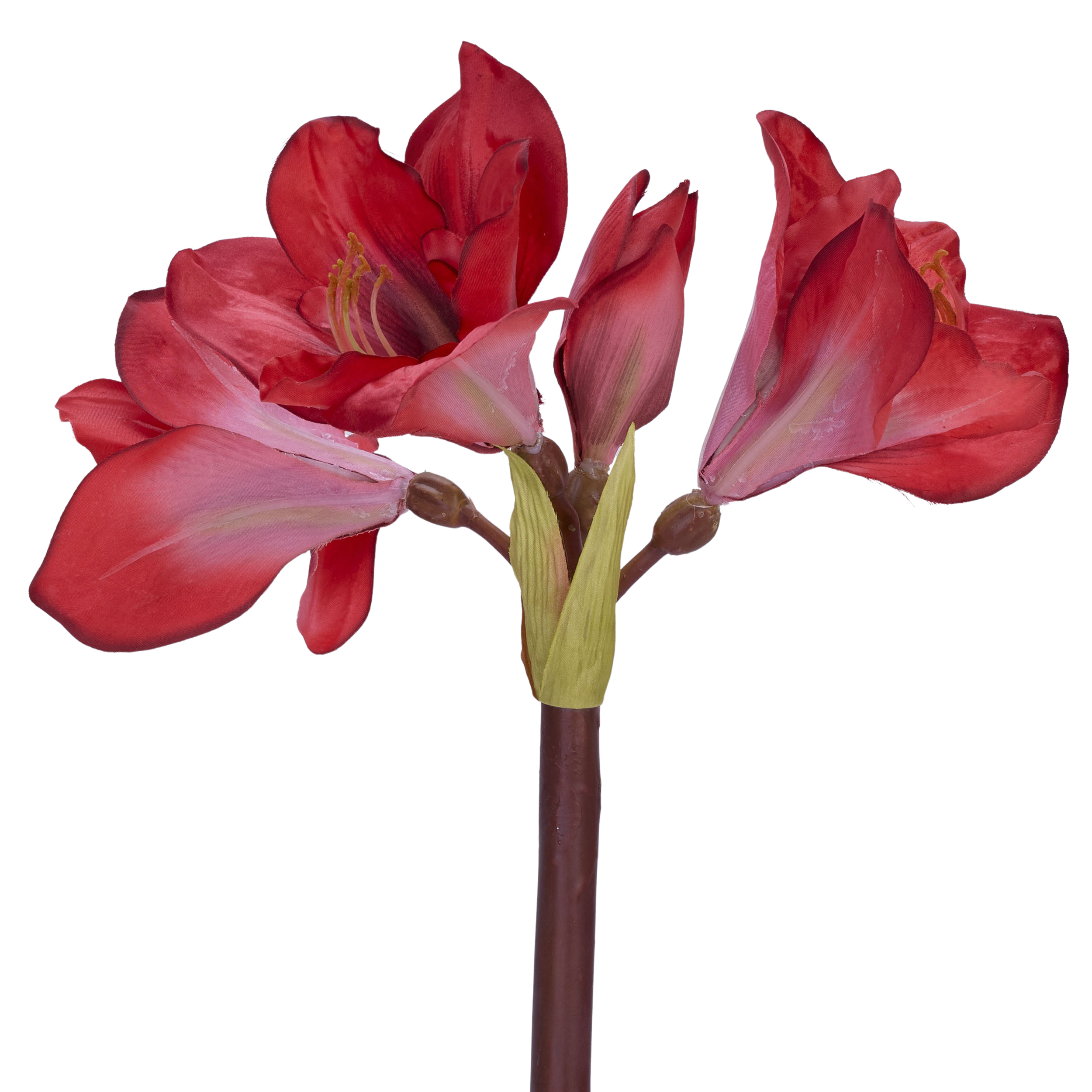 Kunstblume Amaryllis